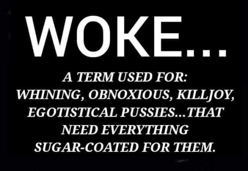 FB_IMG_1681491284558