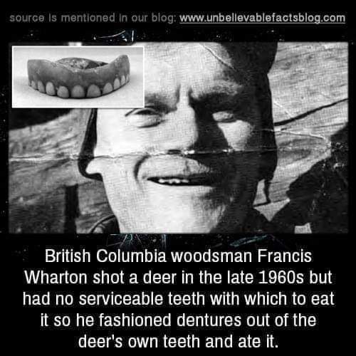 FB_IMG_1681346778943