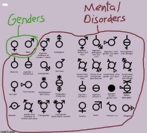 FB_IMG_1681311690740