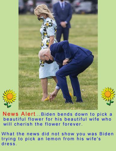 biden 2