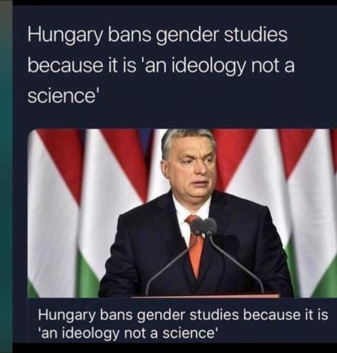 FB_IMG_1681593514996