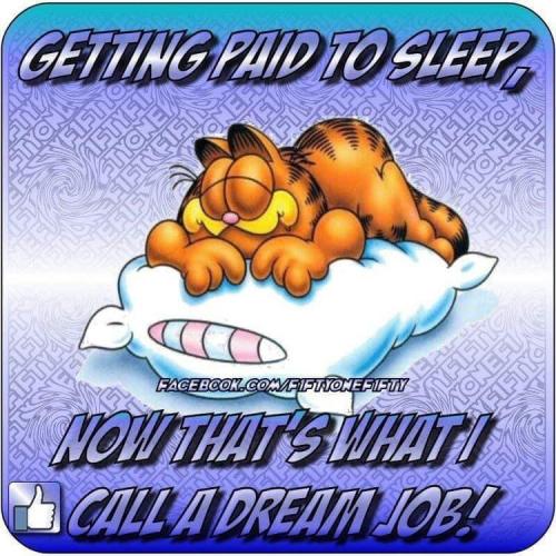 1682087133.025311
