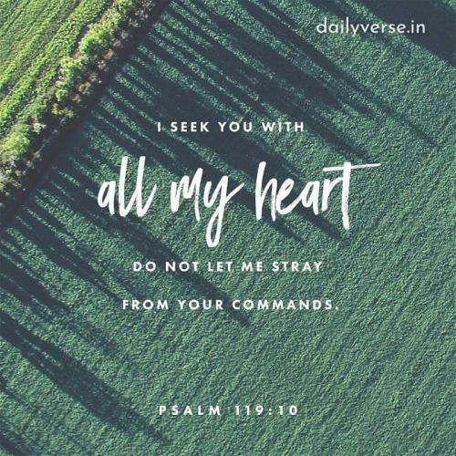 FB_IMG_1682687855249