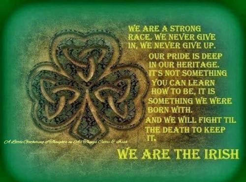 342226221_912108563423900_3842833669921733562_n