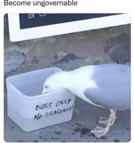 FB_IMG_1681329565956