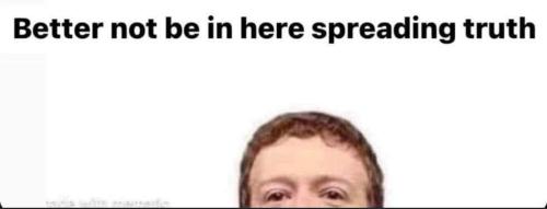 C43E5BFC-5D11-4FA8-A6B0-4A29AE7C0E65