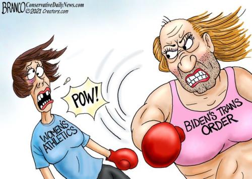 waronwomen war on women trans sports man punch girl