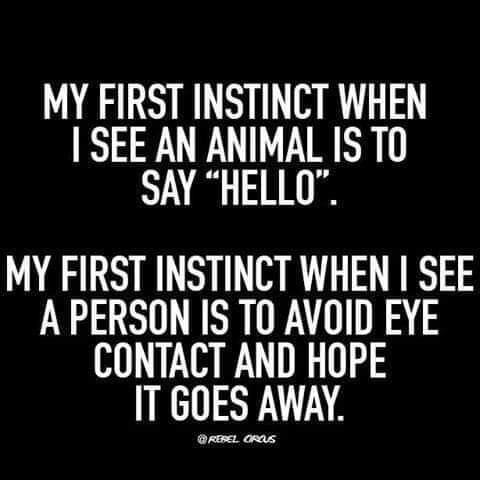 FB_IMG_1681674416121