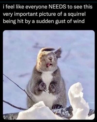 tumblr_e7105367508e80676b6a10668c7e0b3a_b02ab327_1280