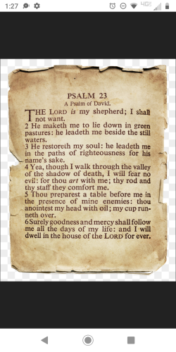 Screenshot_20230409-132757