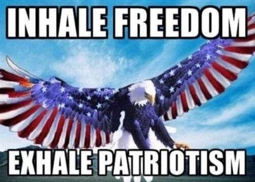 Freedom 1