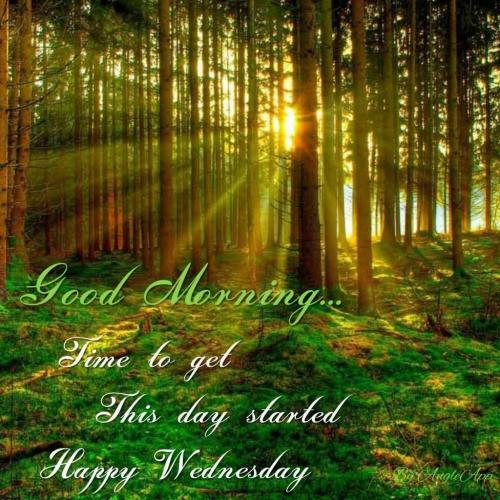 All week wednesday 2