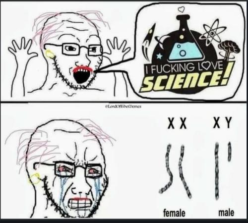 Screenshot_20230424_164511_Chrome