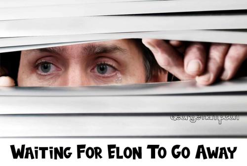 waiting for Elon