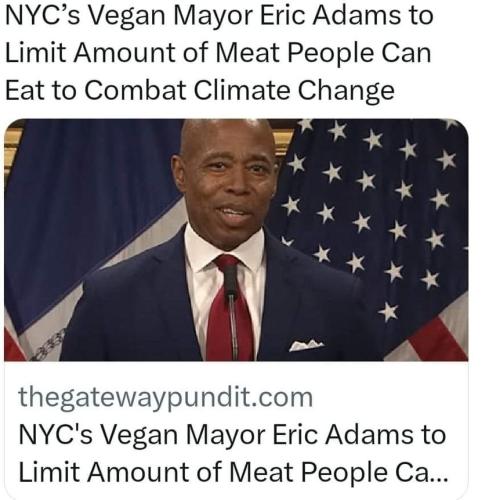 342207012_238165238794980_1484836834360634407_n