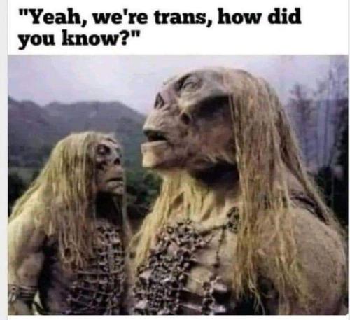 FB_IMG_1680457256892