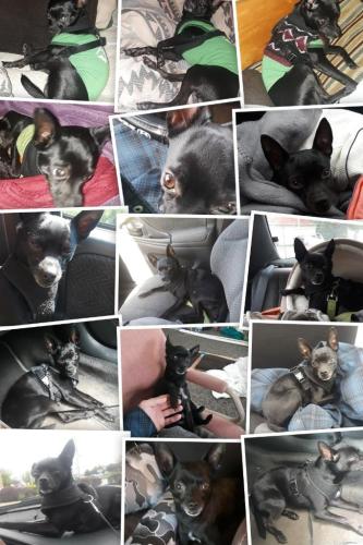 c2043f16-ccda-44d0-a003-f767ddc23123