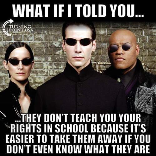 FB_IMG_1681309199140