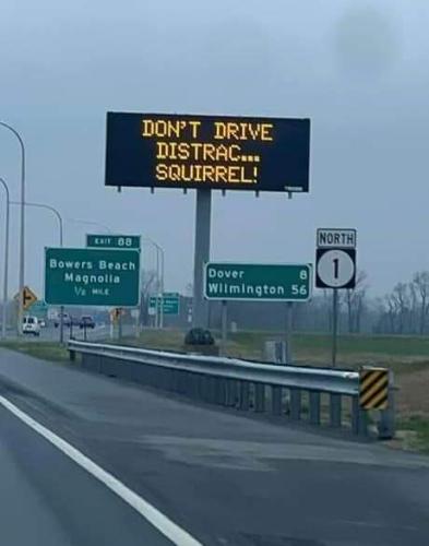 FB_IMG_1680802718417