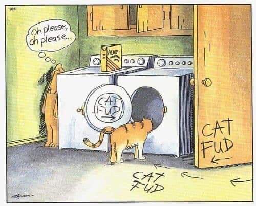 FB_IMG_1682199007558