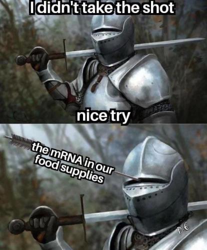 1682367705.0920749