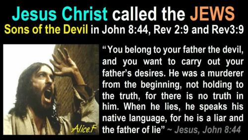 IMG_20230426_102201_981