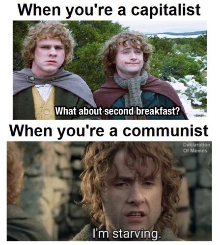 342462741_262556799461169_7530945536682173610_n