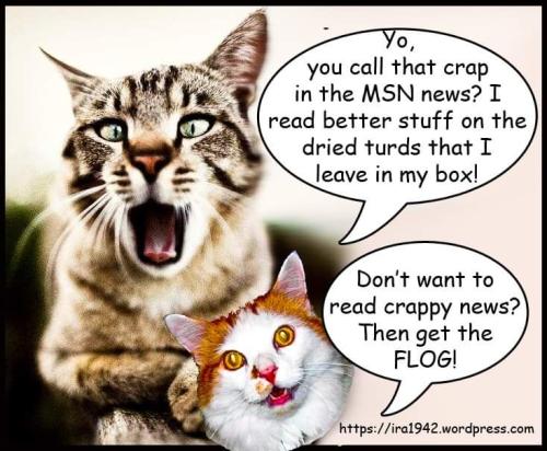 FB_IMG_1682784832330