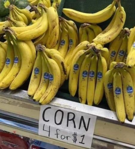 FB_IMG_1682096754455