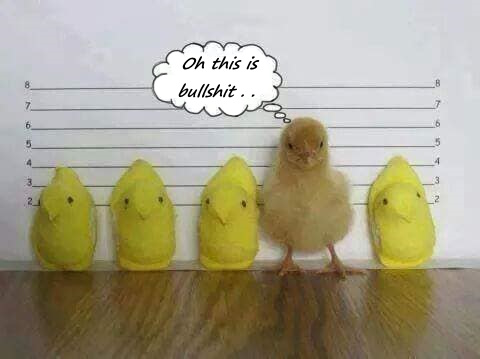 7544473_916293049589623_8108073711383970852_n