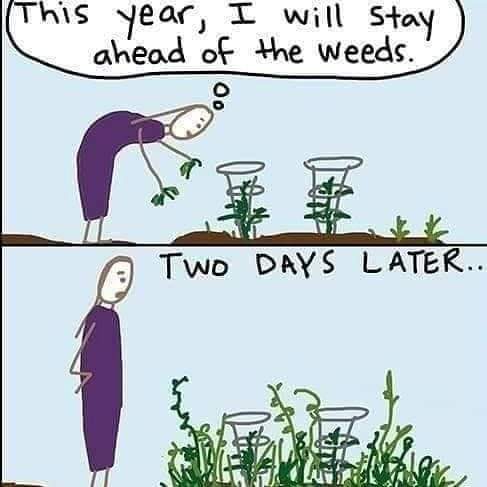 FB_IMG_1682197654093