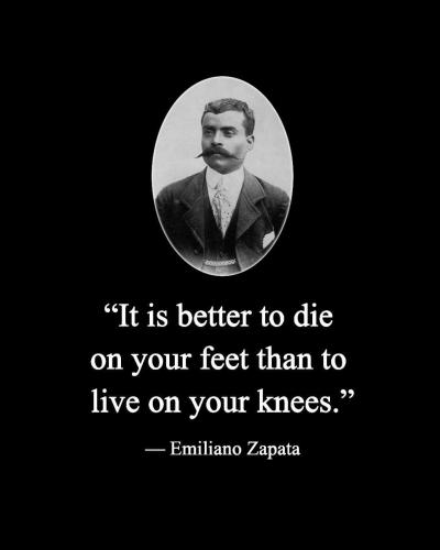 FB_IMG_1682247146147