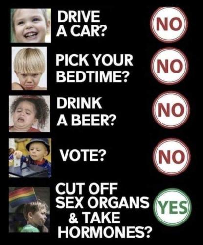 FB_IMG_1681039220069