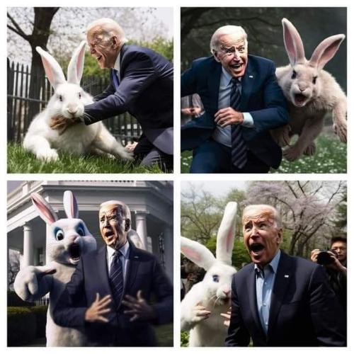 FB_IMG_1681075009642