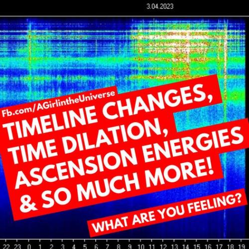 51cCp52jAWL._AC_AC_SR98,95_