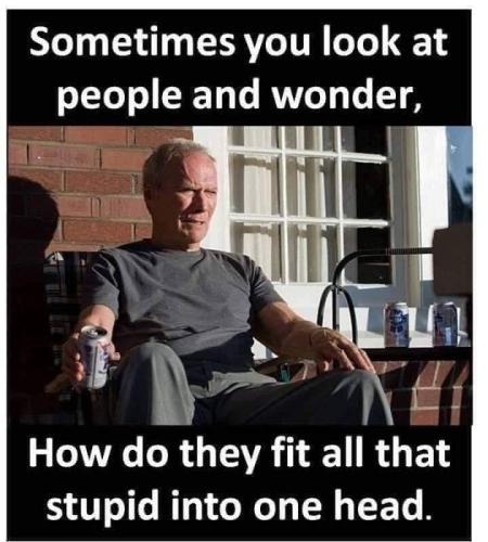 FB_IMG_1680931935637