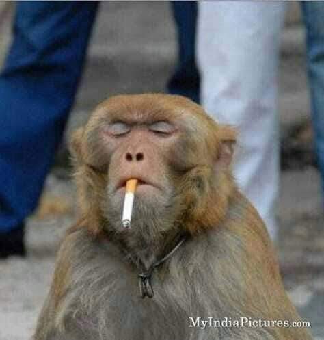 FB_IMG_1682624785586