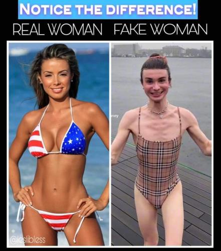 FB_IMG_1681141213326