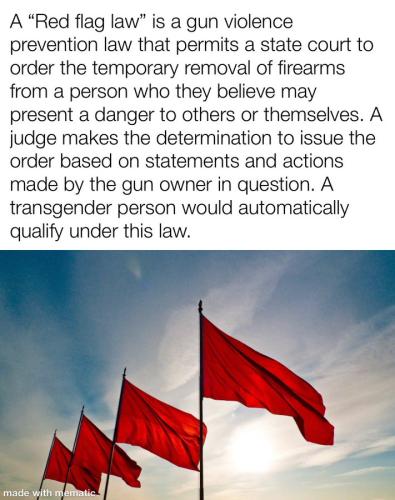 Gun Law 1