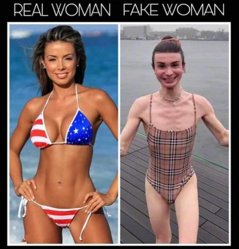 If you were born with a dick, you ain't a chick.