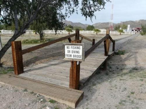 FB_IMG_1682434722003