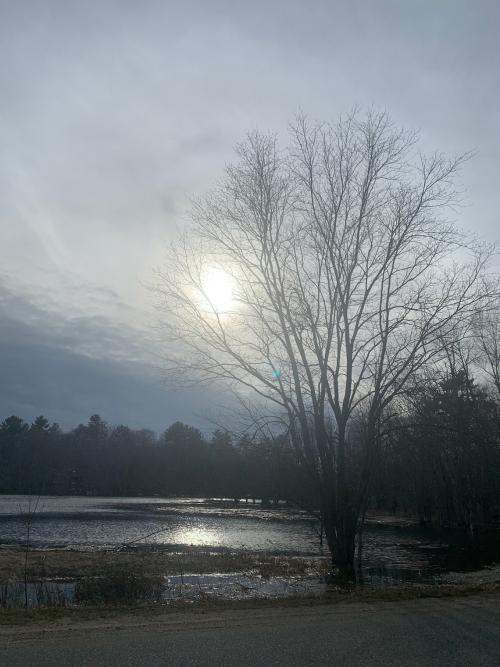 85666CE4-7E67-4BF1-A330-C3E8C8E49165