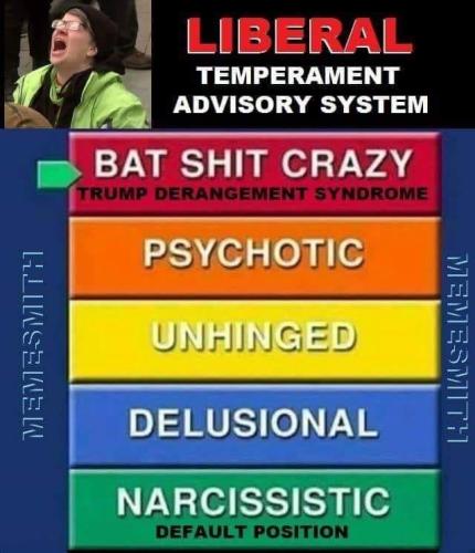 liberal temperament advisory system narcissism delusion unhinged psychotic bat shit crazy