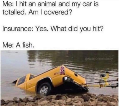 1682281802.572782