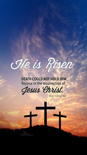 70e6c482-d57d-4c78-9c53-5bb1011dc239