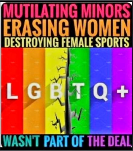 Screenshot_20230413_144054_Chrome