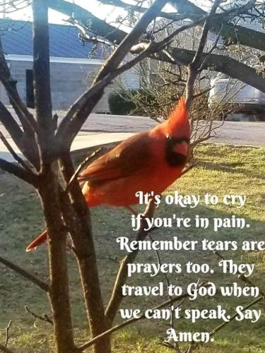 fa1cec79-9d42-4d0e-afdf-c63b506b0189