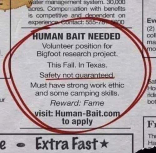 FB_IMG_1681493107838