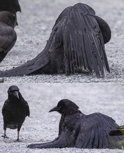 FB_IMG_1682605929027