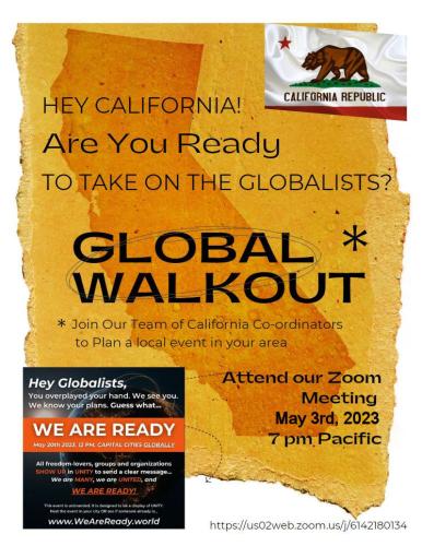 California - May 3, 2023 - Zoom Meeting - Global Walkout Local Planning